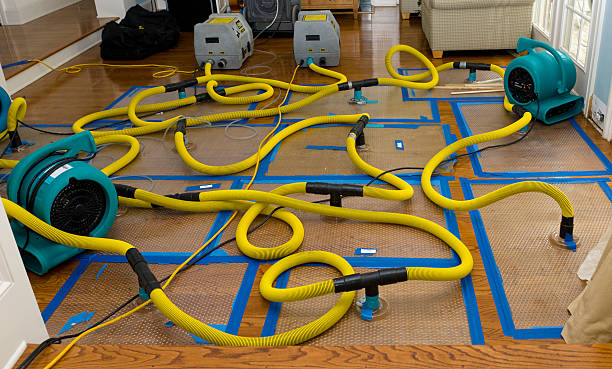 Professional Storm Water Damage Restoration technician working in Petros, TN